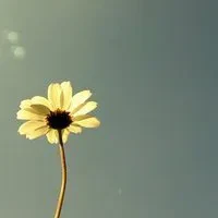 1000023809.webp