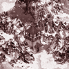 1000022993.bmp
