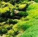 1000022300.webp