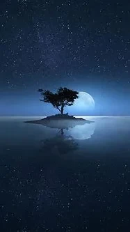 10340.webp