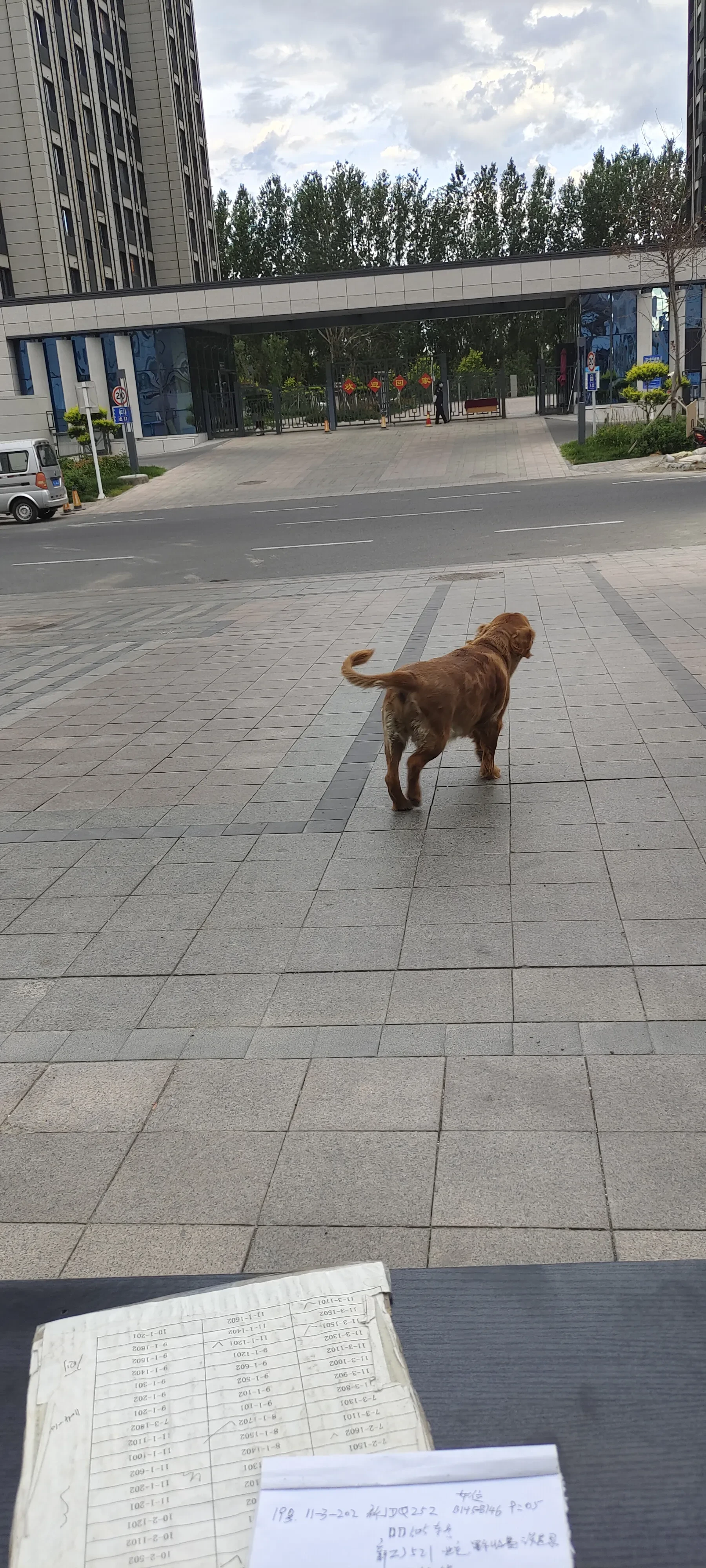 1000034358.webp