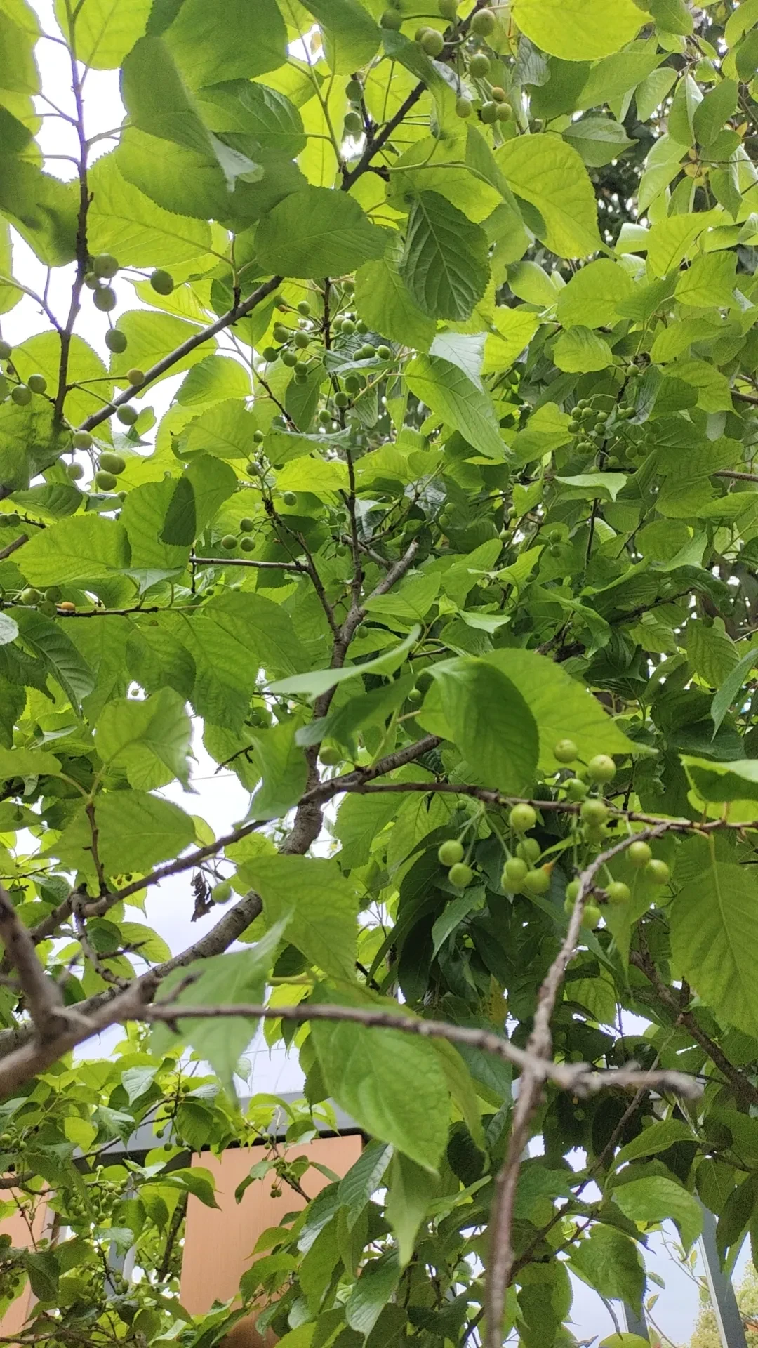 wx_camera_1743834555513.webp