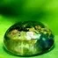 10534.webp