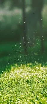 10554.webp