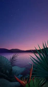 10050.webp