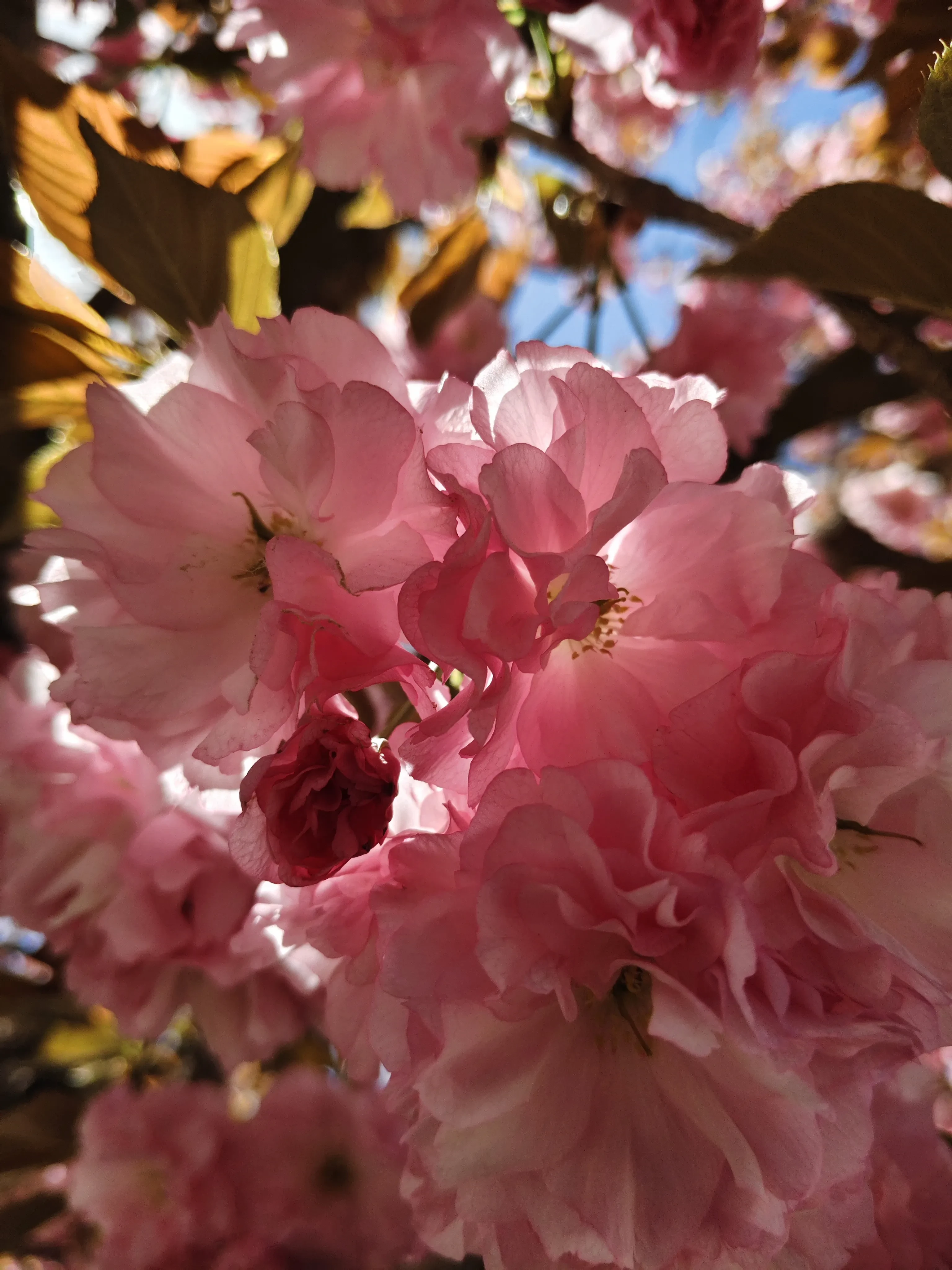 IMG_20250414_105420.webp