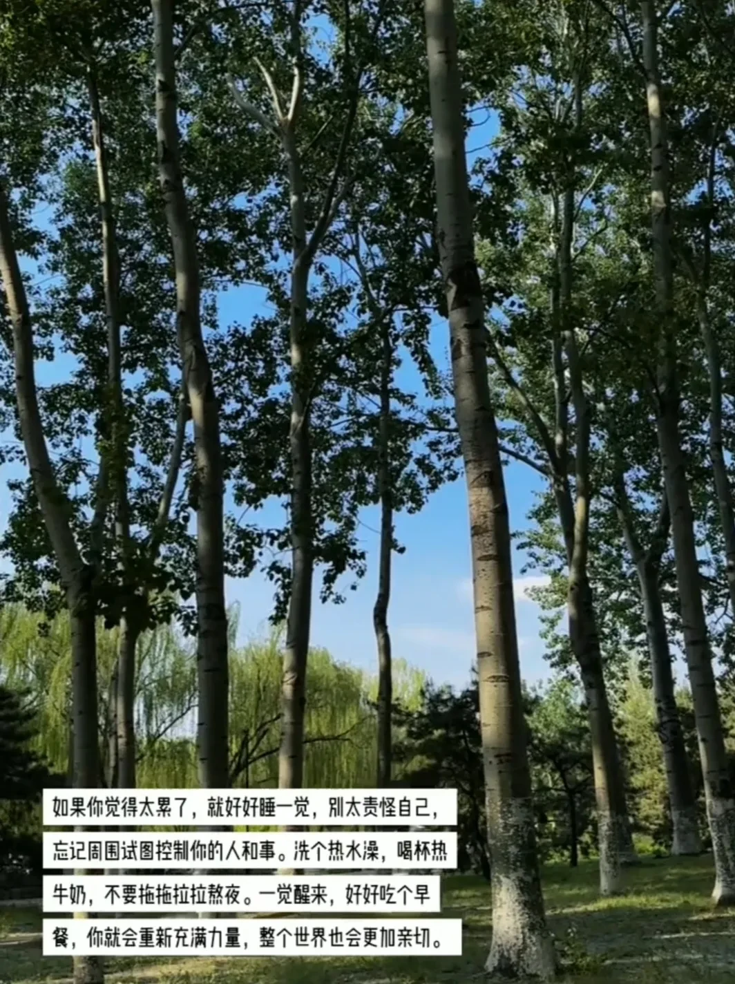1000120805.webp