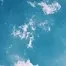 10060.webp