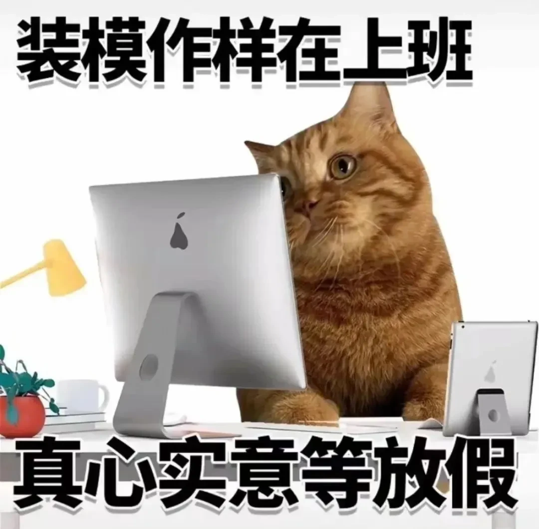 1000290376.webp