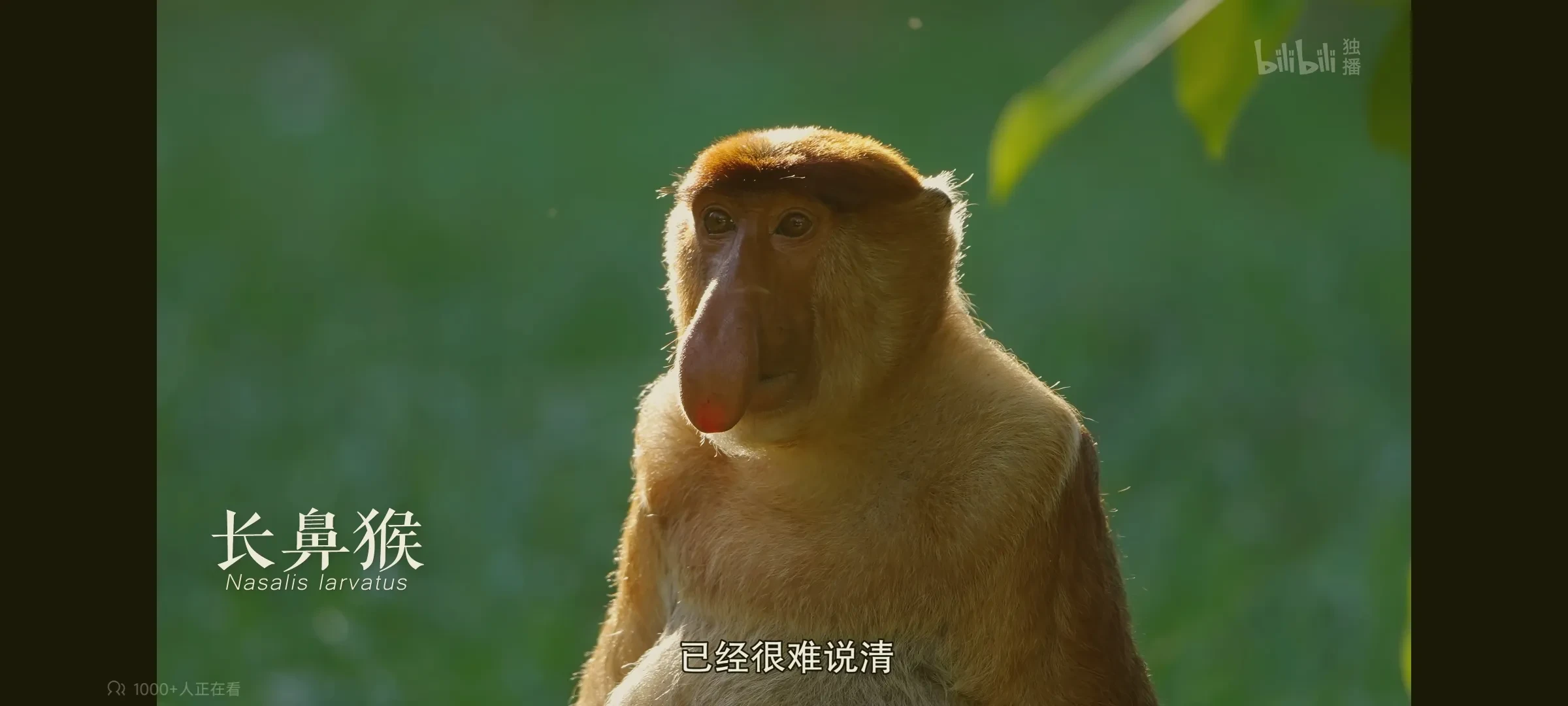 1000341521.webp