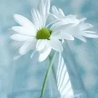 7b3ea244898a28d8a21a75832af7168fecfb9206f8c7a0f3dd81563957ccba63.0.WEBP