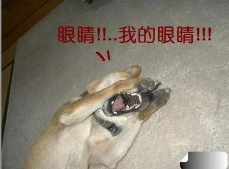 1000001669.webp