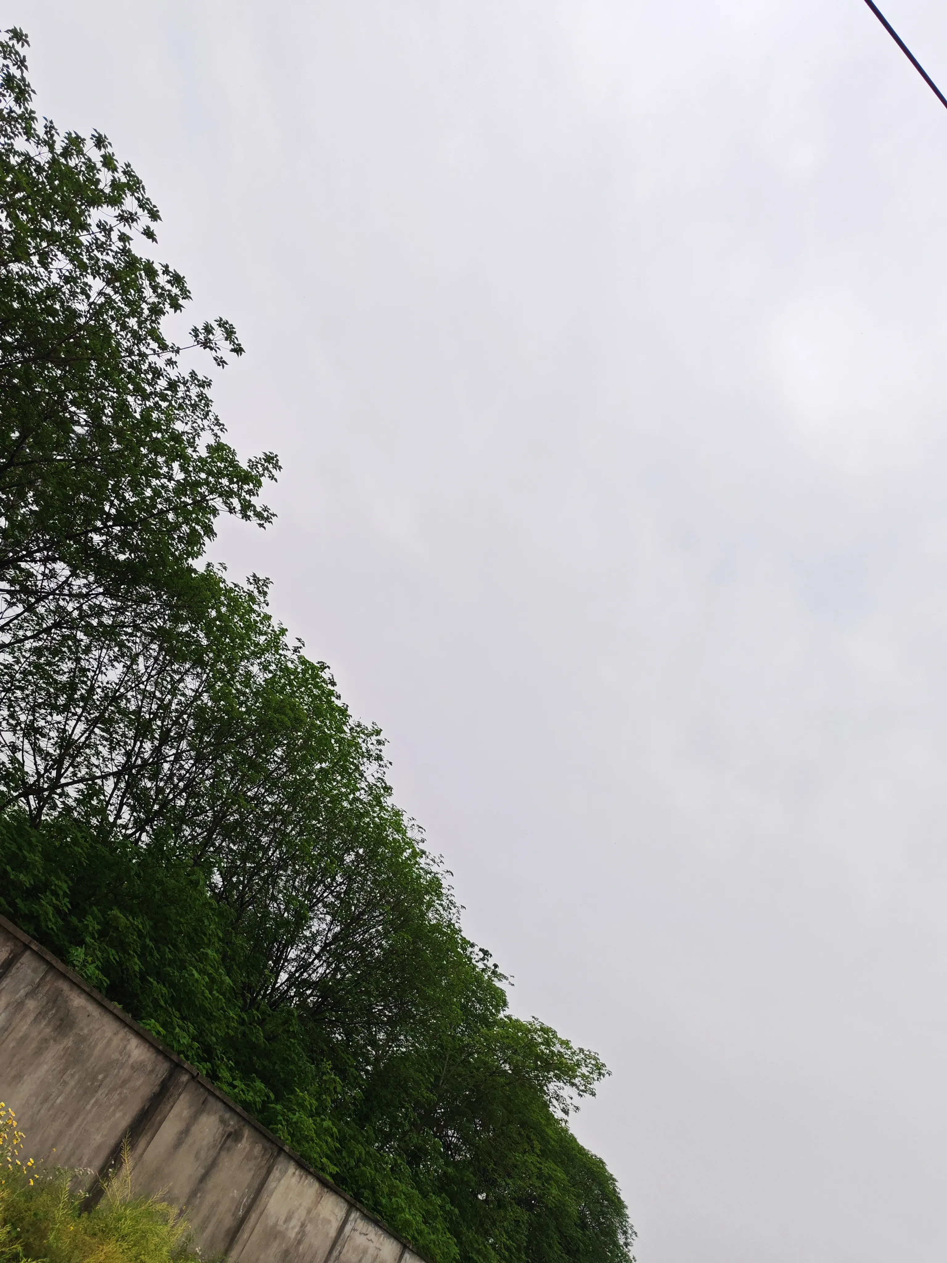 1745481433707.webp