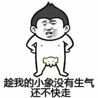 fbef4d440d79e393ef4138146d976334.webp