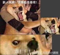 e7f74d59f4aab6d8ff1a54dd951ef9ab.webp