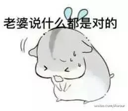 d936d81d161816e0f168064910fa7e0c.webp