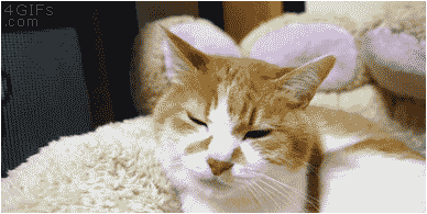 d6e4e83a4c62de1f2a535dbb8edcafde.gif
