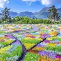 4fb996f6698cdd363b322dcd51e71f2d05364bed3d6bf984315016da184d6123.0.WEBP