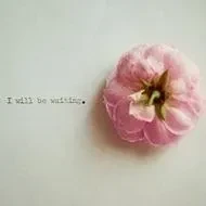 4ad7e5058ca9646aa25c4062ddda9c918eef4fcfa9de07e32ccc7afedb40e69d.0.WEBP