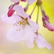 99b51d0d57f0e5822b835fe8b9ae8fb1b198e64fb74d5057745b371bbe0b6a6f.0.WEBP
