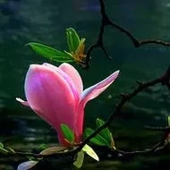 ad9b243bef1379123c712e1452f54c7a7fe7699d25739e2459f115a79e6ed02c.0.WEBP