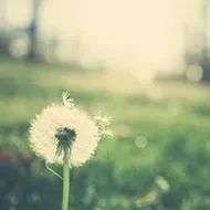 4c2328e7873bc690d10bd0dd7bfc4918604d99ad0a26670547ad1141687c549f.0.WEBP