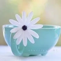 208c59c583497fe41f096e2aaaf2a33c2a54b279cf4b0ebf243027c331768719.0.WEBP