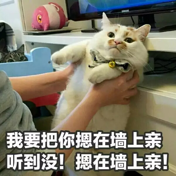 6acacd4e0087af286f4c8e5ca73f37f6.jpg