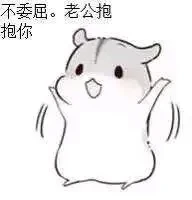 00be86756e70b6800185385d898a50d4.webp