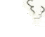 -171bfd62e412f7eb.gif