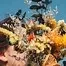 10299.webp