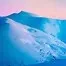 10236.webp
