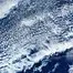 10242.webp