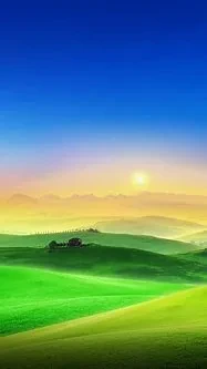 10261.webp