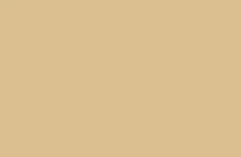 53267.webp