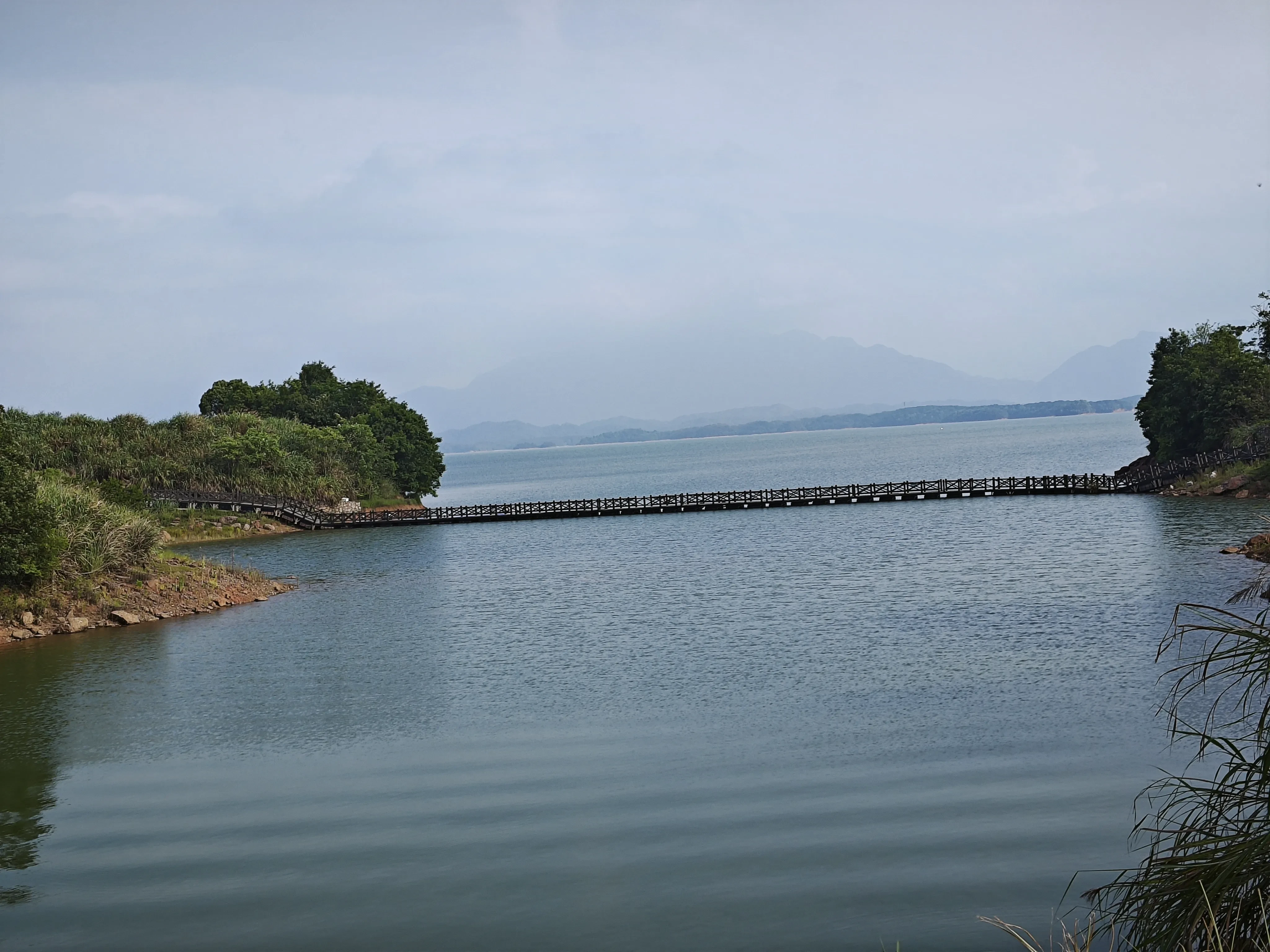 1000012573.webp