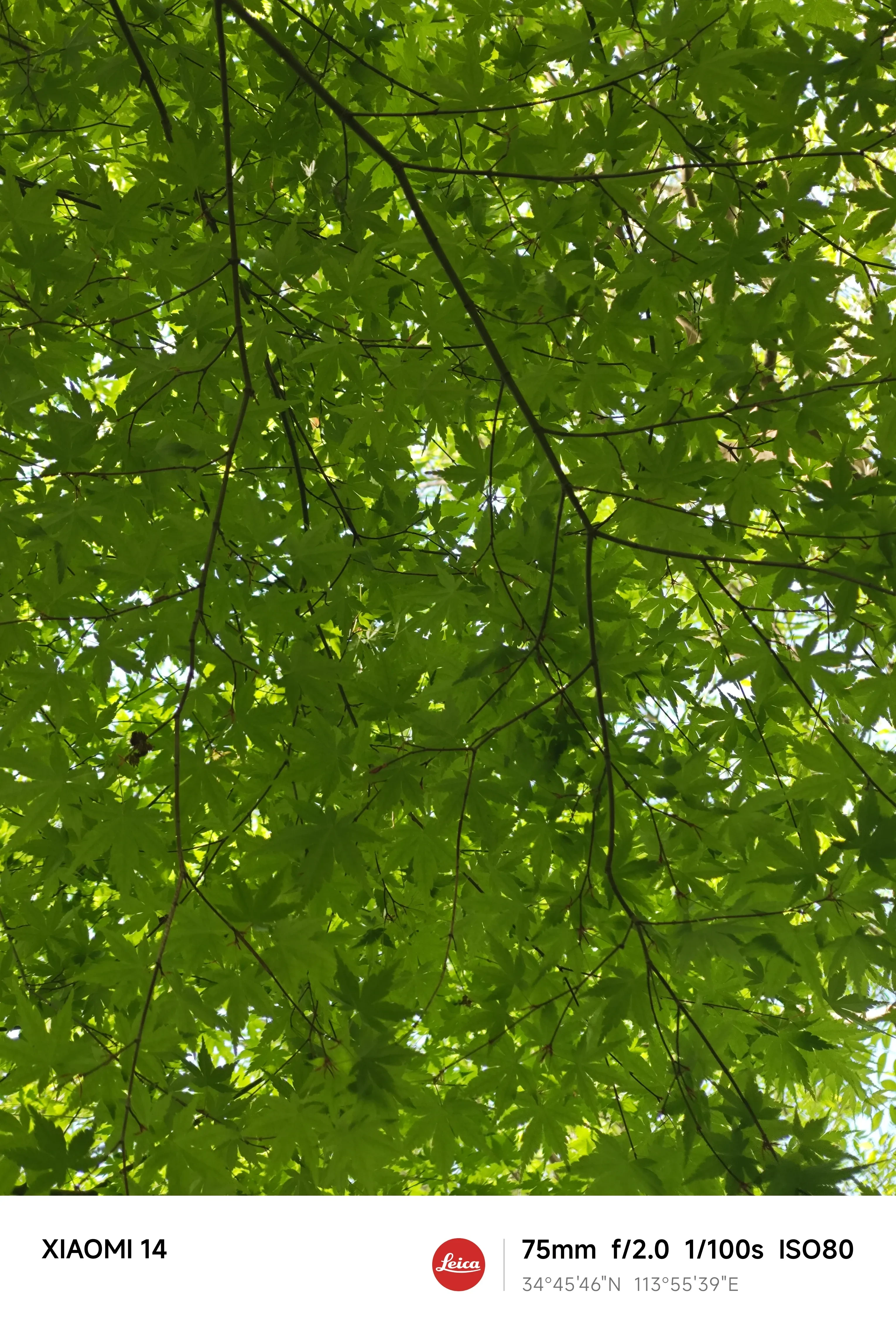 1000004060.webp