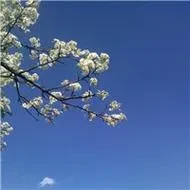 1000023775.webp