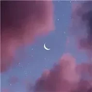 1000023797.webp