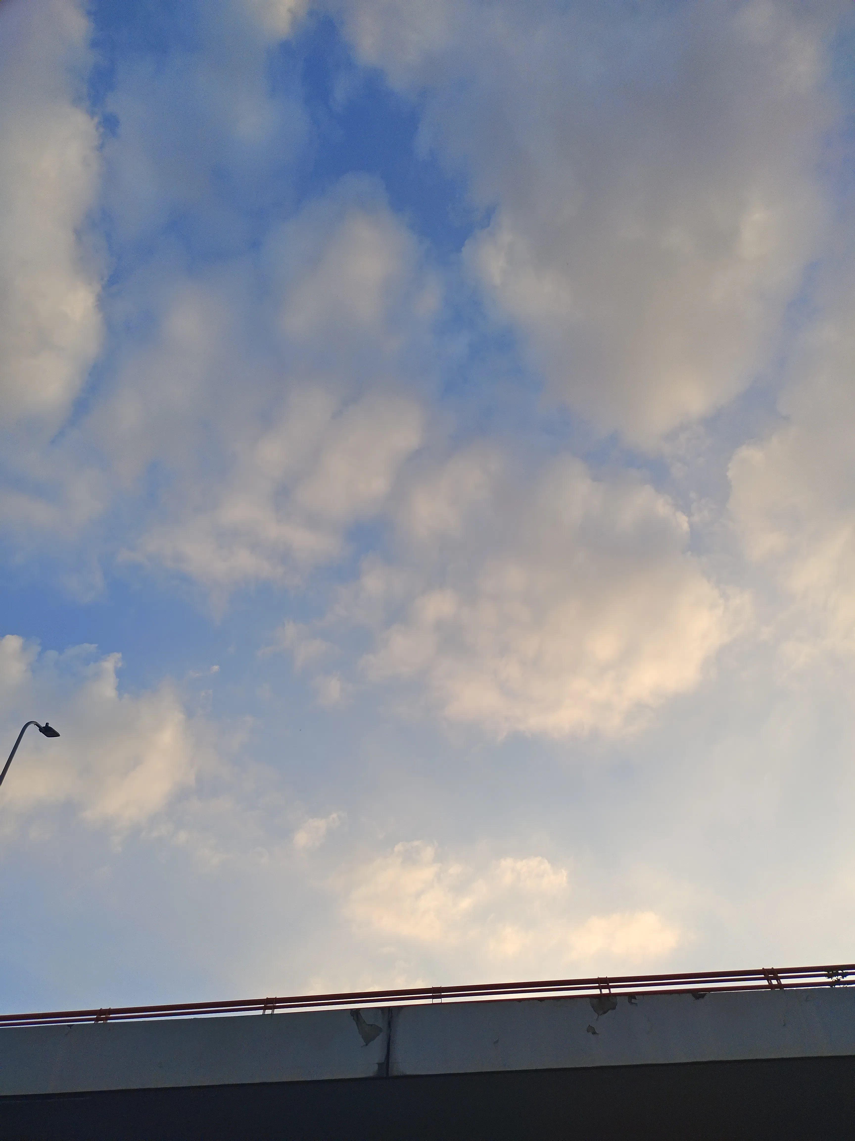 IMG_20241028_175747.webp