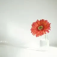 1000027674.webp